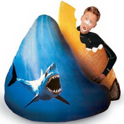 Sacks by Mail Bean Bag Chairs